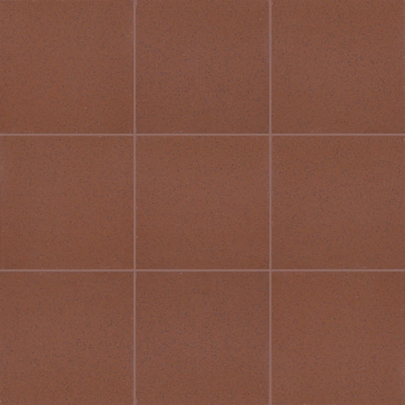 Quarry Naturals Lava Red Square 8X8 Abrasive