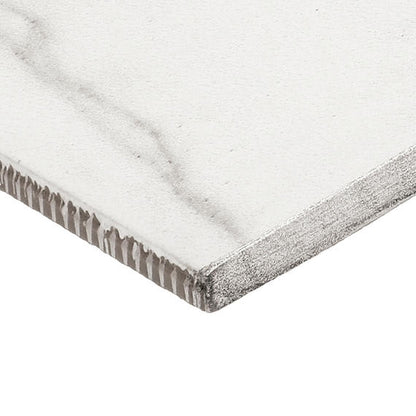 Platinum Oyster Rectangle 12X24 Matte