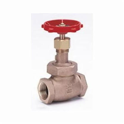590 Rising Stem Globe Valve, 1/2 in, FNPT, Bronze