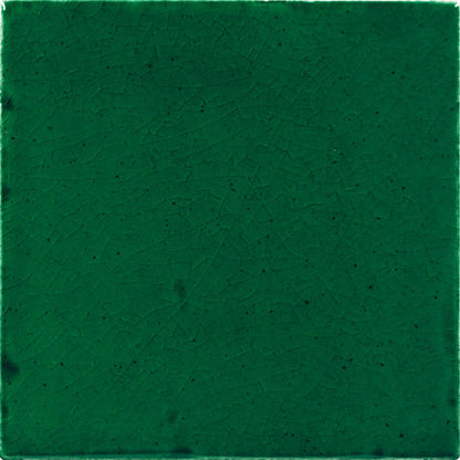 Natural Hues Fern Square 12X12 Matte