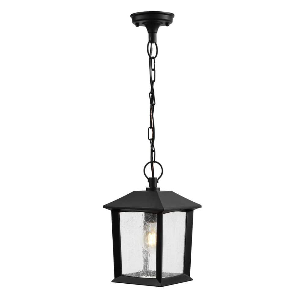 Ashton 1-Light Black Outdoor Pendant Light with Clear Seeded Glass