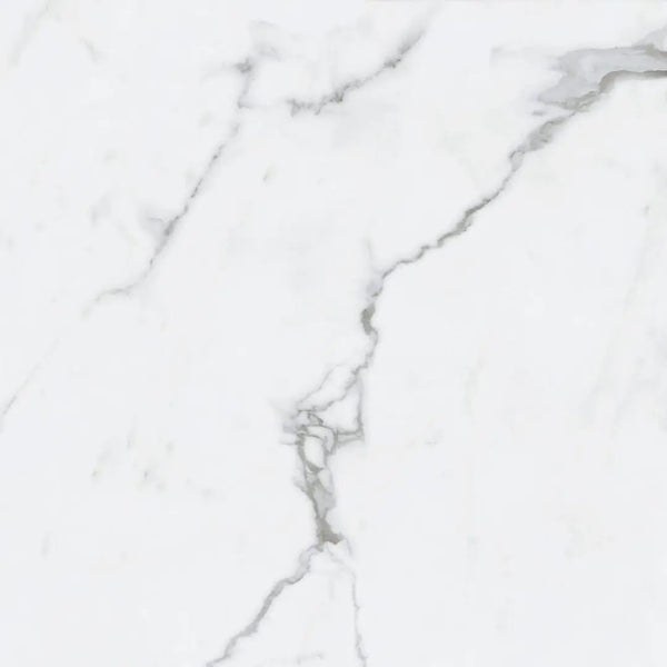 BIANCO VENATINO PO 24X24 R