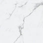 BIANCO VENATINO PO 24X24 R