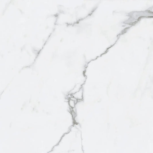 BIANCO VENATINO PO 24X24 R