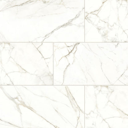 PARKVIEW WHITE PL 12X24