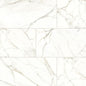PARKVIEW WHITE PL 12X24