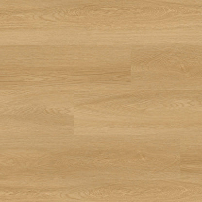 NOVE BAYSIDE BUFF 9X48