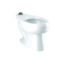 SloanTec Toilet Bowl, Floor Mount, 10 or 12 in Rough, ADA, Elongated, Flushometer, White