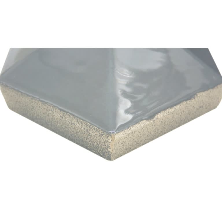PLURIFY DIAMOND FOSSIL GL 5X9