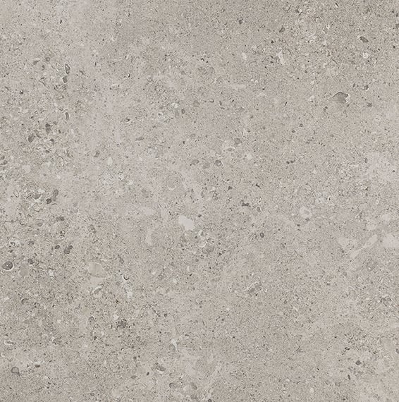 Dignitary Superior Taupe Square 24X24 Matte