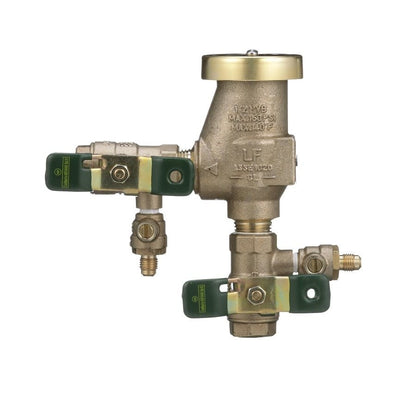 Vacuum Breaker, 1 in, FNPT, Bronze