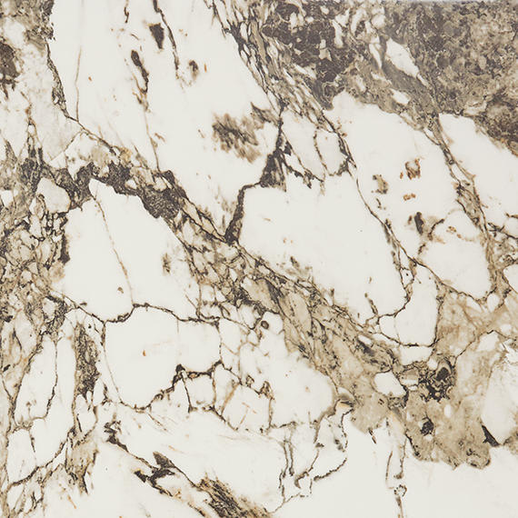 Panoramic Duet Calacatta Aries Square 48X48 Matte