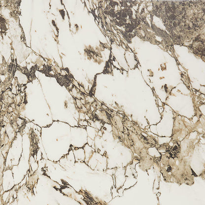 Panoramic Duet Calacatta Aries Square 48X48 Matte