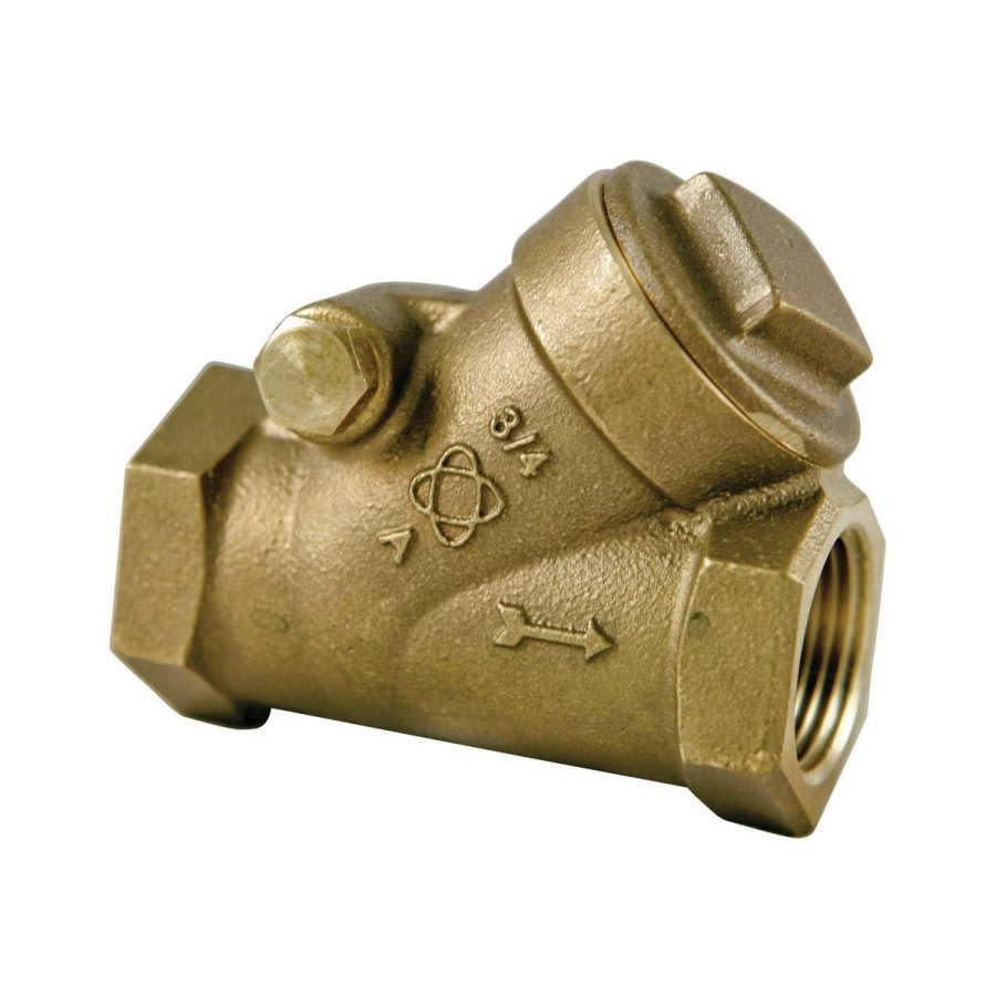 Swing Check Valve, 2 in, FNPT, Bronze