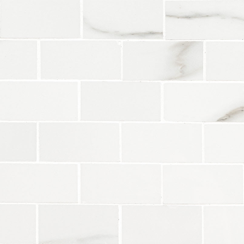 Aria Bianco Subway Tile 2X4