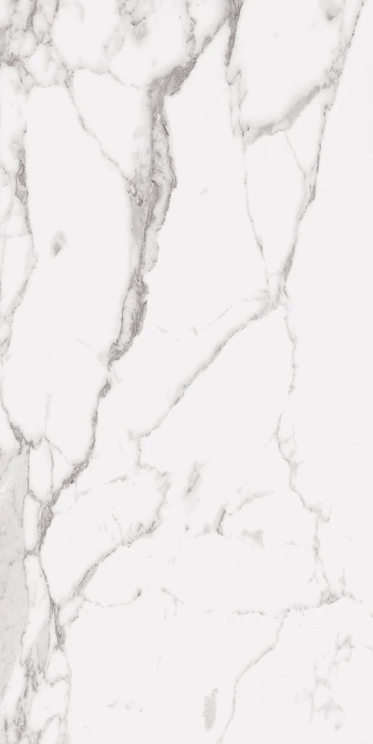 STATUARY WHITE 24X48 R UP