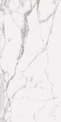 STATUARY WHITE 24X48 R UP