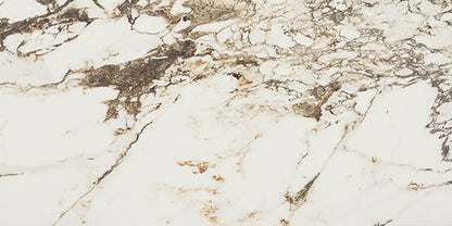 Panoramic Duet Calacatta Aries Square 48X48 Matte