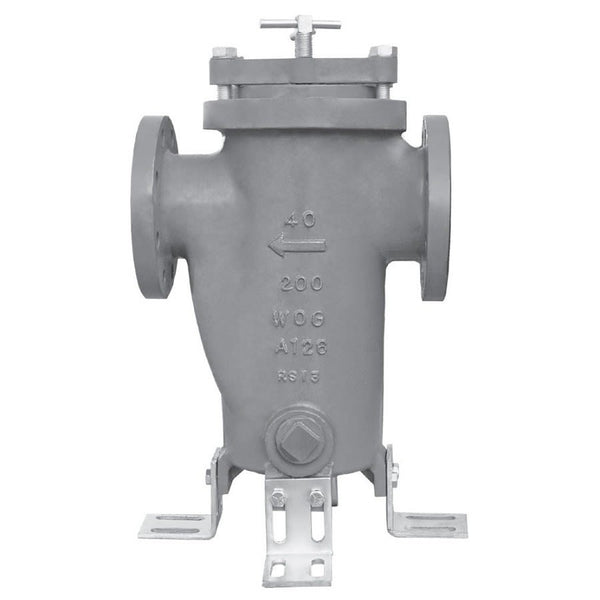 Strainer, 2 in, Flange, Cast Iron