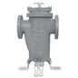 Strainer, 2 in, Flange, Cast Iron