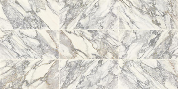 Eclessia Marble Arabescato Argento Rectangle 12X24 Honed