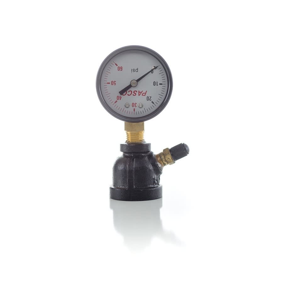 Air/Gas Test, 2 in Dia Dial, 0 to 60 psi, 3/4 in FNPT Top Body Connection