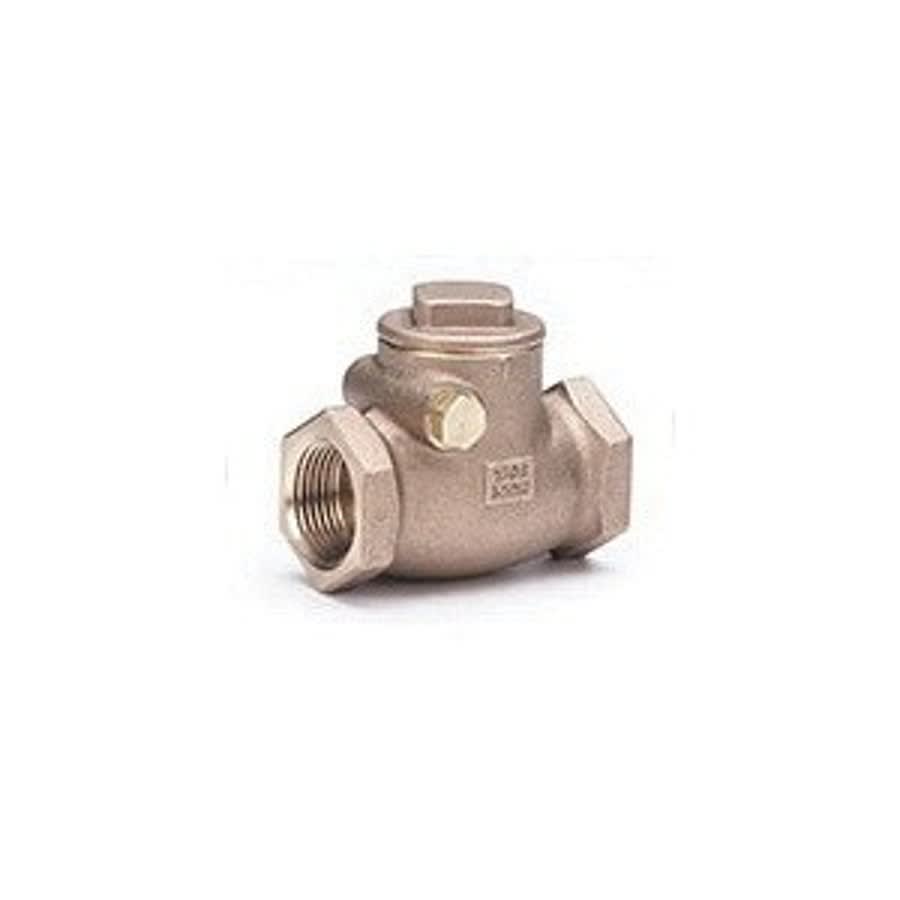 Swing Check Valve, 3/4 in, FNPT, Bronze