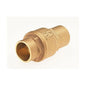 Ultra Pure™ Spring Check Valve, 2 in, C, Bronze