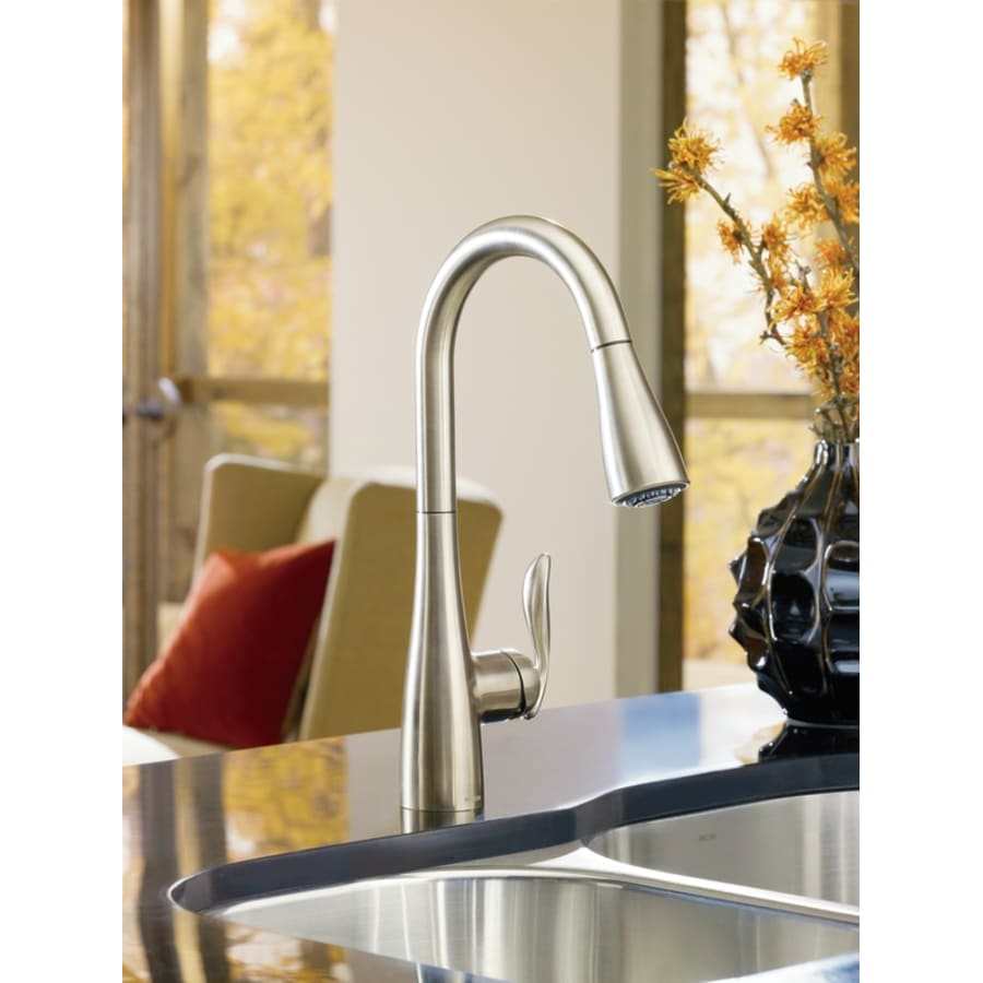 Arbor Single Handle Pulldown Spray Kitchen Faucet with Reflex Technology