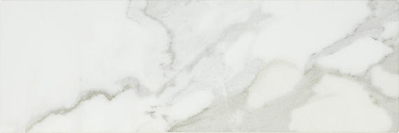 Platinum Magnolia Rectangle 12X24 Matte