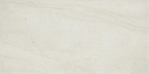 Wanderwise Swan Rectangle 12X24 Matte