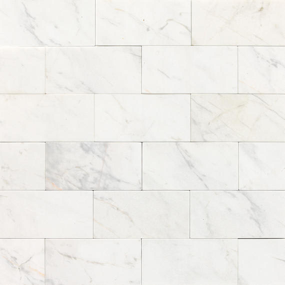 Marble Contempo White Rectangle 12X24 Honed