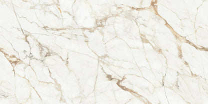 Calacatta Gold Polished