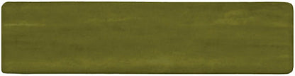 Artcrafted Fern Rectangle, Handcrafted 3X12 Glossy