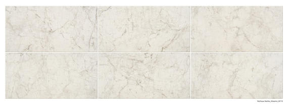 Mythique Marble Altissimo Rectangle 12X24 Matte