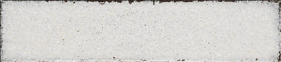 Iridescent Isles Seashell Rectangle 2X9 Glossy