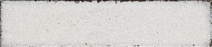 Iridescent Isles Seashell Rectangle 2X9 Glossy