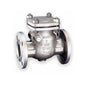 Swing Check Valve, 6 in, Flange, Stainless Steel