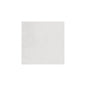 PIGMENTS WHITE (Make to order)