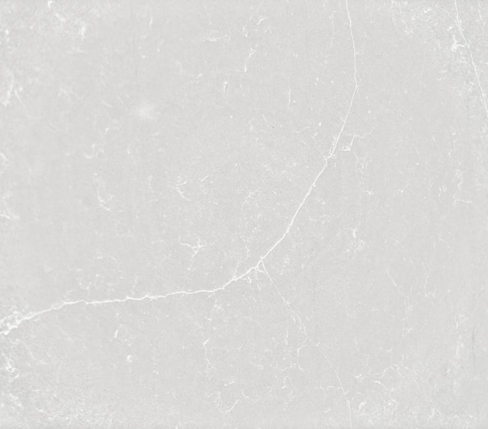 Desert Silver
