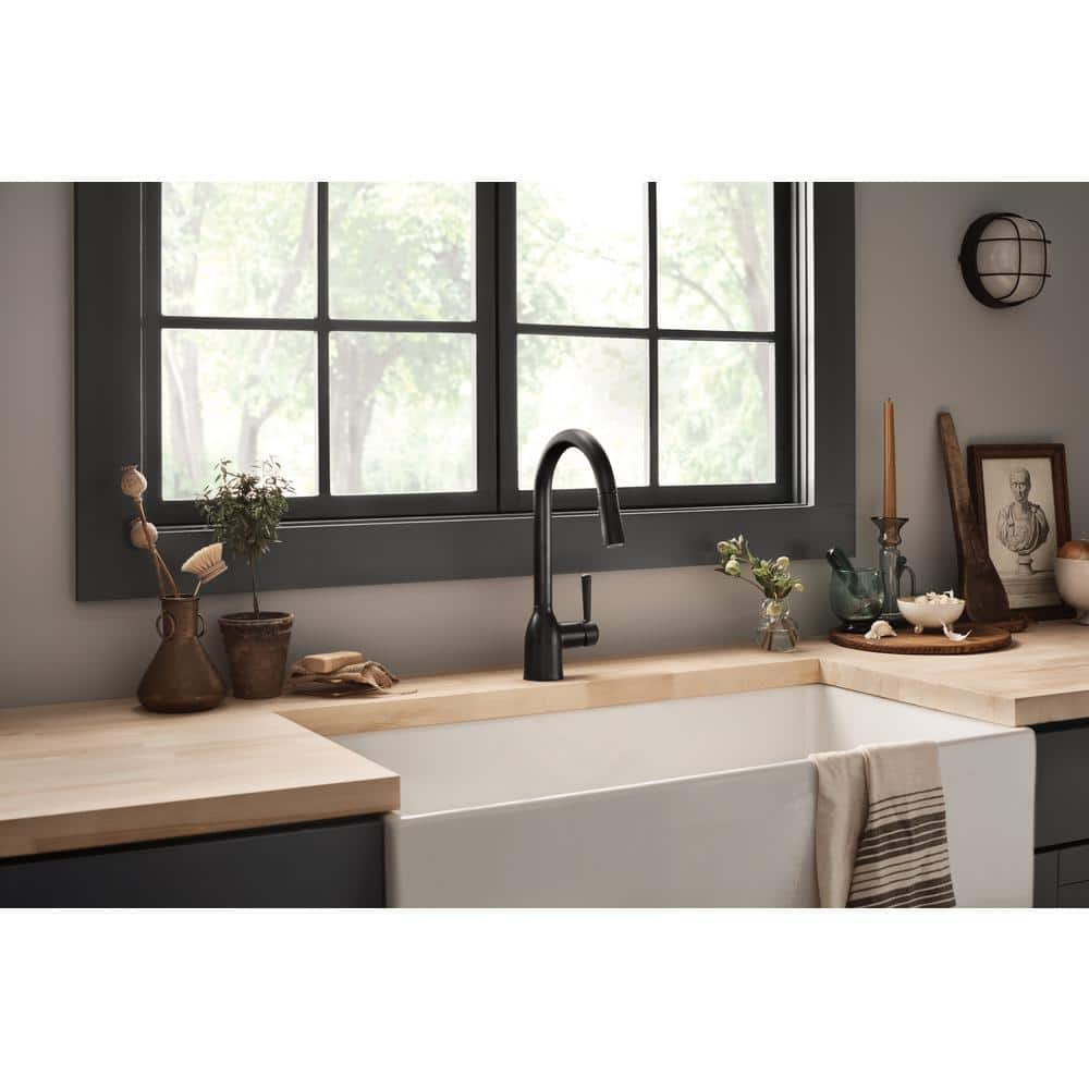 Adler Single-Handle Pull-Down Sprayer Kitchen Faucet with Reflex and Power Clean in Matte Black