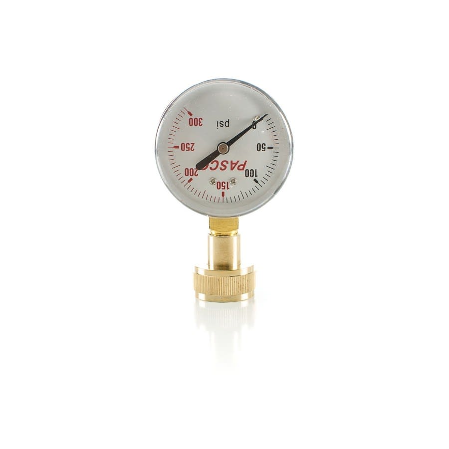 Water Test, 2-1/2 in Dia Dial, 0 to 300 psi, 3/4 in FHT Top Connection