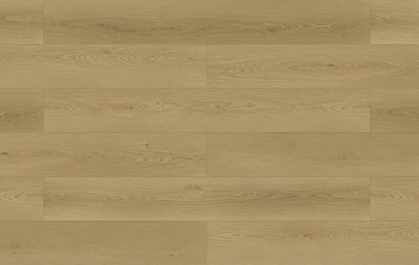 Perennial Pewter