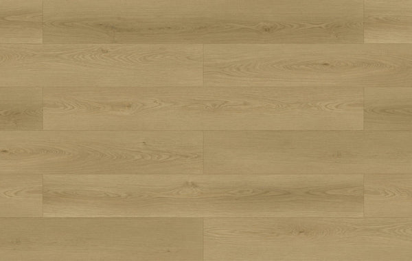 Perennial Pewter