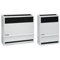 Direct Vent Wall Furnace, Single Side, 30 Kbtu/hr, Propane, 66% AFUE