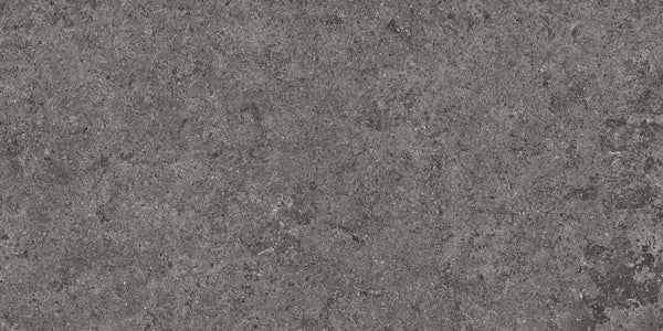 12X24 BASALT FD GRAPHITE