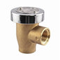Vacuum Breaker, 1/2 in, FNPT, Brass