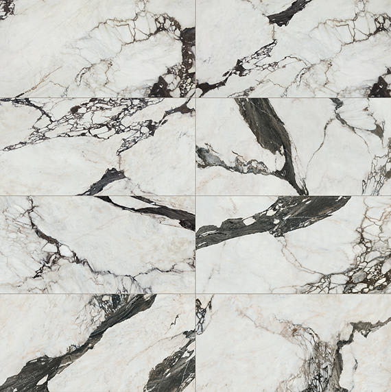 Savoir Noir Rectangle 12X24 Polished