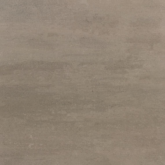 Theoretical Evolved Hibernate Brown Rectangle 12X24 Textured