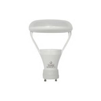 WhisperRecessed LED™ Bathroom Fan/Light, 80 cfm, 120 VAC